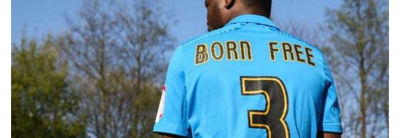 Premier League, Sportwashing: urgono nuovi requisiti per proprietari e dirigenti della 