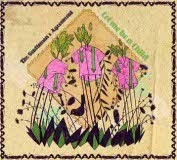 Musica Please! Dalla campagna campana con FolK-lore