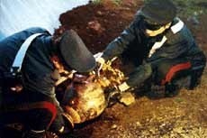 Rientrati in Italia reperti archeologici di inestimabile valore