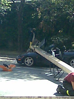 Incidente in entrata a Trieste