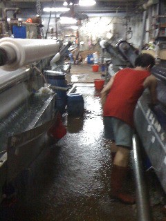 6 Indonesia impianto tessile obsoleto a pochi chilometri da Giacarta