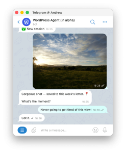 A Telegram chat window depicting an image and text discussion of how to post it.