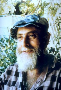 Bioarchitettura: Friedensreich Hundertwasser lo immaginava prima di noi