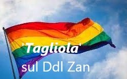 Ddl Zan, evitato un grave errore politico e legislativo?