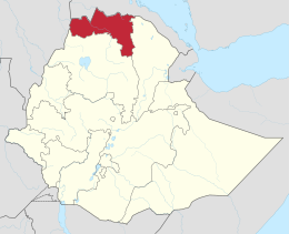 Eppure non si muove neanche una mosca per la guerra nel Tigray, mentre per l'Ucraina...
