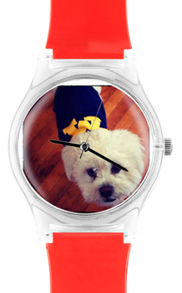 Instawatch, le tue foto adesso sul tuo orologio