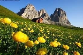 Ce l'ho io la soluzione del debito (almeno è un'idea)