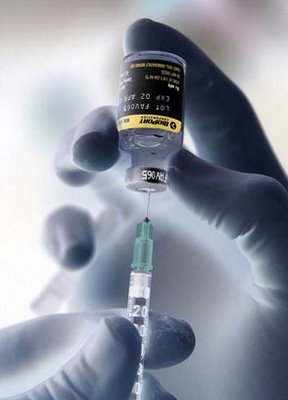 H1N1, la verità inizia a filtrare