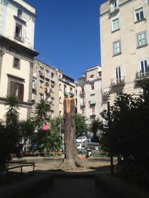 Foto di Pino De Stasio