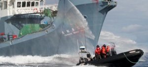 Sea Shepherd "infierisce" sul Giappone