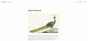 Zoologist WordPress Theme Homepage Design