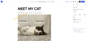 an arrow pointing to the crop edit button on the image block