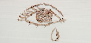 100 persone nude per celebrare il corpo. In stop-motion