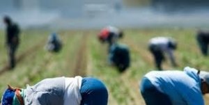 I nuovi emigranti: 1 milione in 4 anni