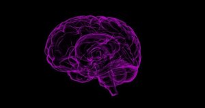 Tumori maligni al cervello: è possibile fermarne la crescita?