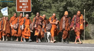 Screenshot from the Walk for Peace USA 2025–2026 video on DHAMMACETIYA’s YouTube channel. Fair use.