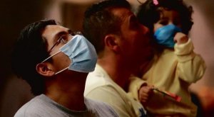 Influenza suina e le tante, troppe notizie dei media...