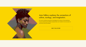 Sankofa Theme