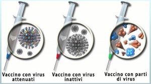 Vaccini, cosa sono realmente? Quali rischi?