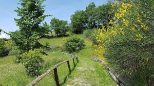 val di taro