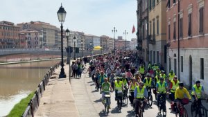 Bimbimbici 2026
