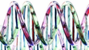 Xna: sperimentato un Dna sintetico alternativo