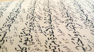 “Come si dice in Arabo?”: l'Educazione Innovativa della Prof.ssa Leone su TikTok