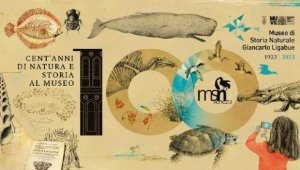 Cent'anni di natura e storia al Museo di Storia Naturale Giancarlo Ligabue
