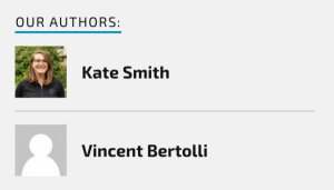 Screenshot of the WordPress Authors widget.