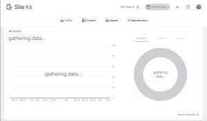 Screenshot of the Google Site Kit plugin.