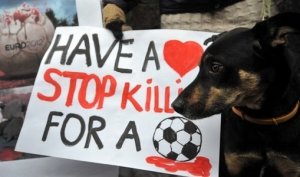 Euro 2012, specchio di un'Europa che (forse) non c'è più
