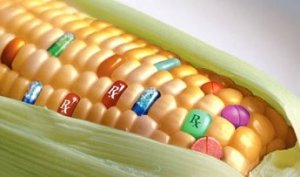 L'Horror Monsanto continua: da semi Terminator a semi Zombie