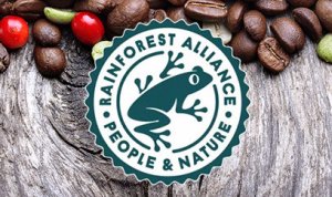 Rainforest Alliance: tutto ciò che dovresti sapere sul logo