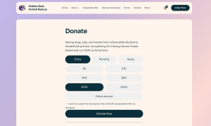 Screenshot of the WordPress site donation page.