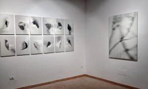 Gianna Parisse: Il bianco e nero della Terra