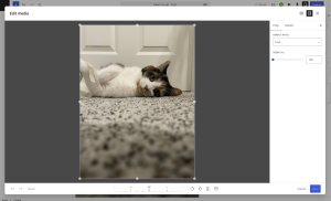 the edit image modal window open in WordPress.com