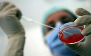 La legge 40 e le inutili sofferenze