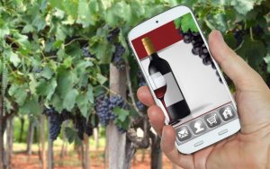 Vino e Digitale 2015: migliorano i social, male l'e-commerce