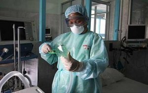 Influenza suina, pandemia di notizie