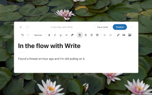 Image of Write, the simplified posting experience for writers on WordPress.com.