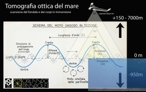 Schema moto ondoso in sezione.