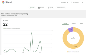 Screenshot of the Google Site Kit plugin.