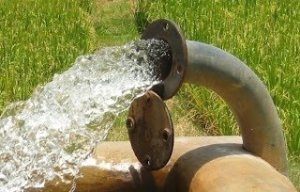 Sostenibilità del Sistema Agroalimentare