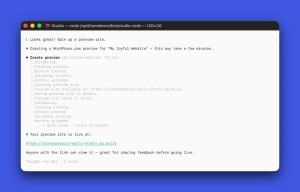 a terminal window asking Studio Code to create a preview site for a client