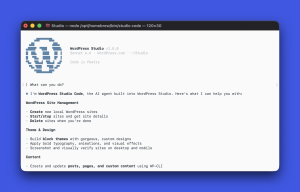 A terminal window with Studio Code open and a prompt saying "What can you do?" and the agent's response