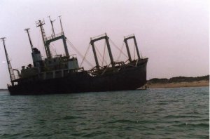 'Ndragheta: Rifiuti tossici nel mar di Calabria