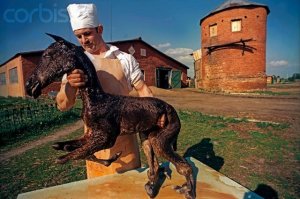 I politici e il loro bestiario nucleare