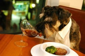 Amore per gli animali e odio per l'uomo: un'emergenza