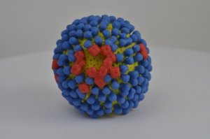 Virus influenzale 2017: mezzo milione di italiani a letto