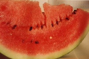 Il prezzo dei cocomeri